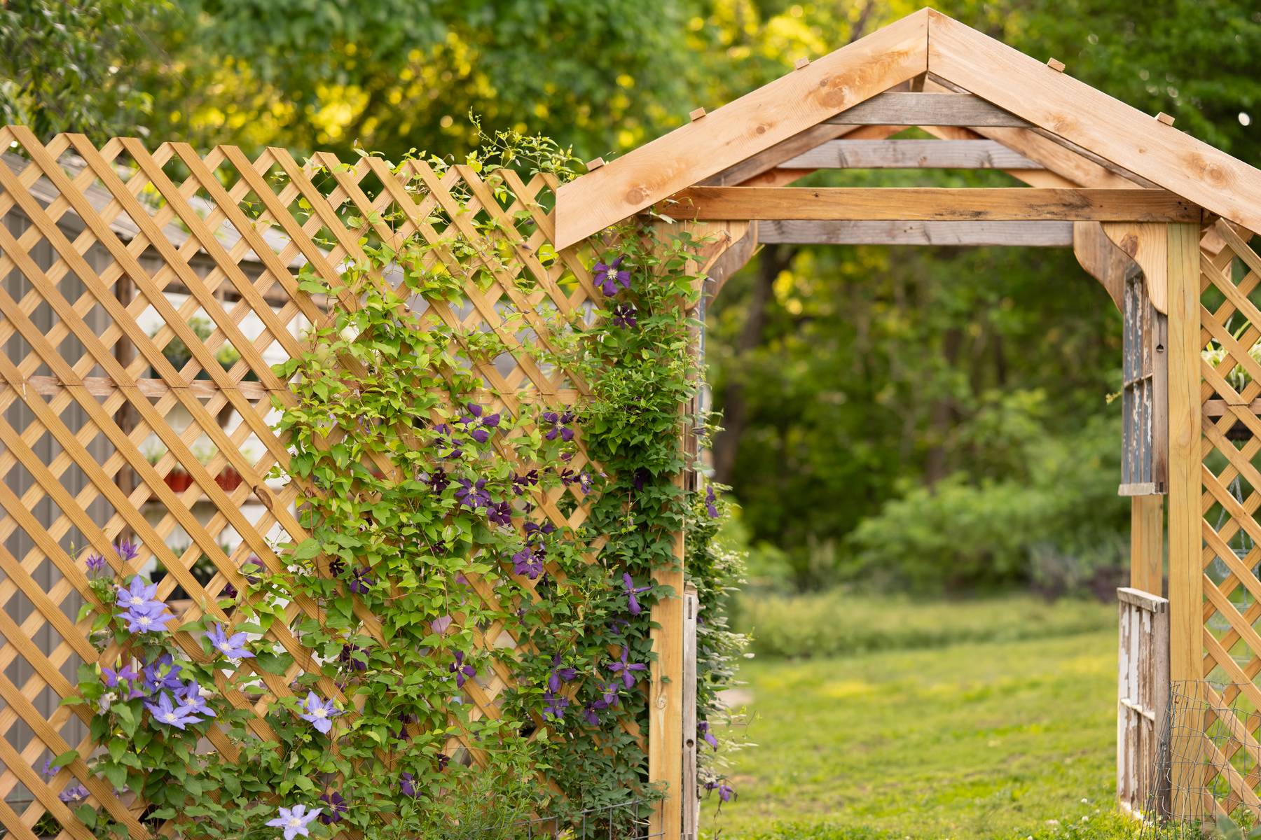 Petals and Panes garden arch