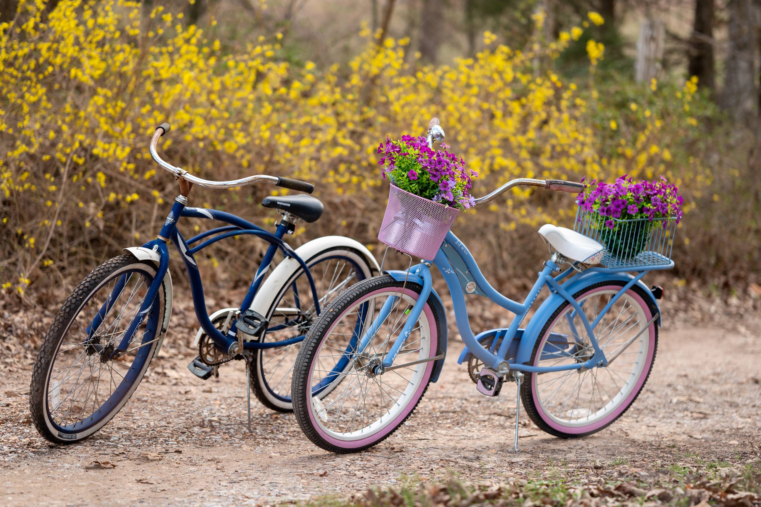Petals and Panes garden scene with vintage bicycle