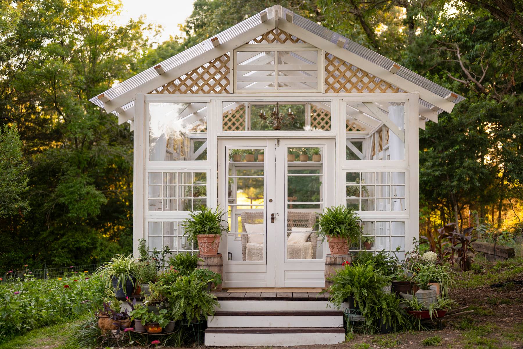 Petals and Panes garden glasshouse hero image